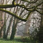 This Quiz Might Make You 'Grimm'