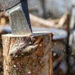 Word Court Renders Split Decisions
