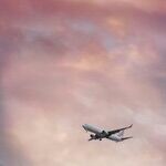 Pilot Parlance: Fasten Your 'Speech'-belt