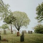 Keep Your Eye on 'Graveyard Shift' and 'Gimlet'