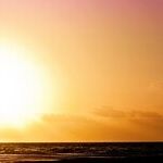 Elect to Be Happy! Well-Being for the Strong at Heart