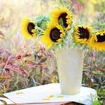 Still Stressed? 7 Ways to a Leaner, More Serene Thanksgiving