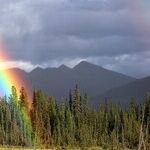 Well-being Alert! Choose Gratitude Over Grumbling