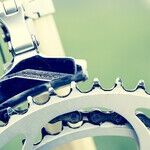 Want Wheel Joy? Fit Your Body to Your Bike