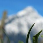 Spring! Your Secret Weapon to Seed Change