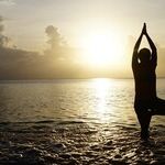 Body Wisdom 101: Align Your Spine and You'll Be Fine