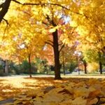 Thanksgiving Makeover: 6 Ways to Spread Your Wings