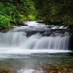Adductors 101: How to Activate Rivers of Energy