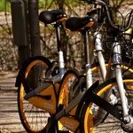 To Bike or Not to Bike: Is That Even a Question?