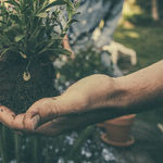 Gardening Grounds Your Spirit, Grows Your Well-Being