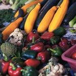 Powerful Fruits and Vegetables