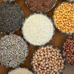 Whole Grains for Health