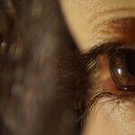 Eye Health