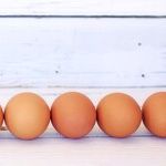 An Egg for an Egg White