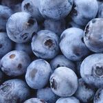 Vitamin D and Breast Cancer