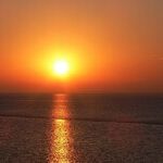 The Latest on Vitamin D