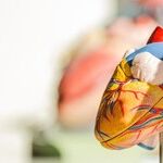 Heart-Healthy Foods