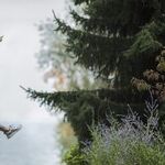 Want to Feel Better? Move More