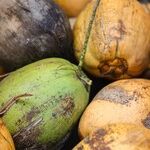 Limit Your Food Waste