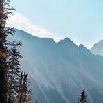 The 'Why' Behind Working Out