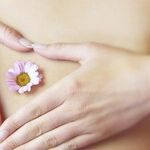 A Healthy Gut