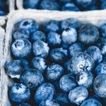 Blueberry Treasures