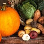 Pumpkin Mania