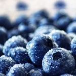 The MIND Diet