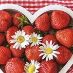 Healthy Hearts