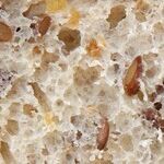 Whole Grains to Your Health