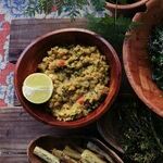 Plant Protein