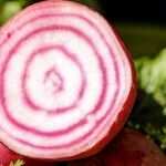 Cancer Cuts