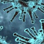 Pathological Life Outside Life