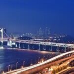 Pandemic Linked to Fewer Deaths