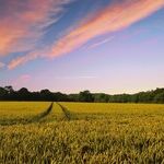 Country Living