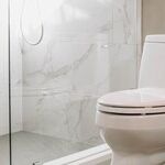 Leaking Toilet