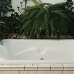 Bath to the Future