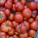 Victory Gardens are Blossoming Again