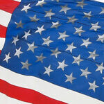 Let's No Longer Leave our Veterans Waiting for Care