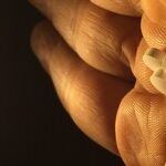 A Surprising List of the Most Dangerous Drugs
