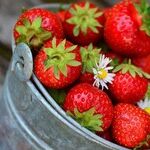 You Are What You Eat During Pandemic Isolation Period