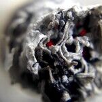 Attention Smokers: Please Stop