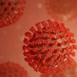 Getting Through a Pandemic That Has No End Date