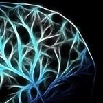 The Search Goes on for New Ways of Treating Brain Conditions