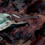 COVID and Fentanyl Disproportionately Affect Native Americans