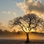 Stress, Loneliness and a Question Too Rarely Asked