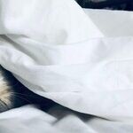 Why Managing Your Z's Is Never a Breeze