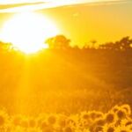 A Holiday Season Full of Challenges Needs a Saving Grace