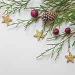 Maintaining Wellness During the Holiday Season