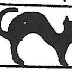 Bushberry Pattern Was Introduced in 1948